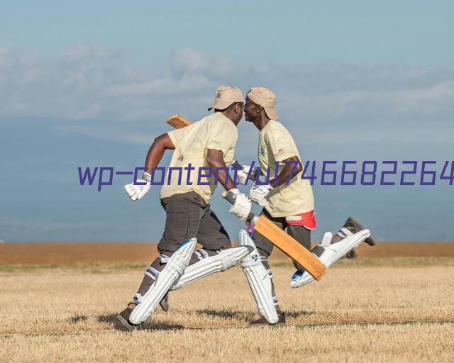 La mejor 803999